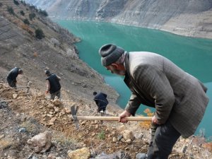 Artvin’de Baraj Havzaları Ağaçlandırılıyor