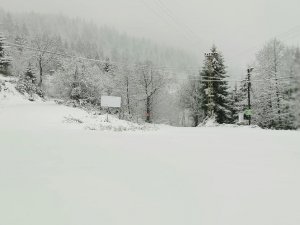 Artvin’de Kar Yağışı Nedeniyle 29 Köy Yolu Ulaşıma Kapandı