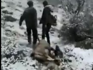 Dağ Keçisi Avlayan Avcılar Sosyal Medyanın Gündeminde