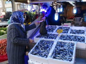 Hamsinin Peşinden Bu Kez Gürcistan’a Değil İğneada’ya Gittiler