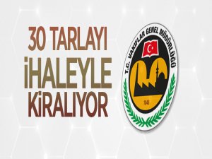 30 adet tarla Vakıflar Bölge müdürlüğünden kiraya verilecektir