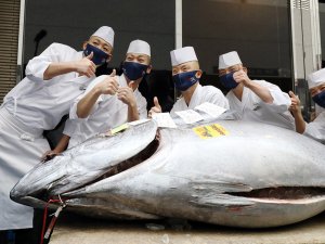 Tokyo’daki Balık Pazarında Geleneksel Yeni Yıl Mezatı