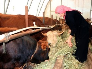 Genç Çiftçi Projesiyle Başladı Şimdi Siparişlere Yetişemiyor