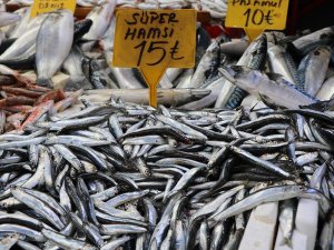 Hamsinin Fiyatı 25 Tl’den 15 Tl’ye Düştü