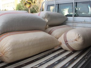 Giresun’da Serbest Piyasada Fındık Fiyatları 23 Lira 50 Kuruş Civarında Seyrediyor