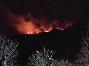 Giresun’da Orman Yangını