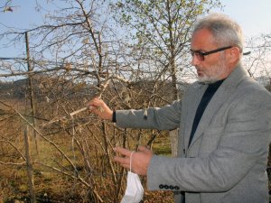 Fındık Üreticisi Kar Bekliyor