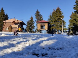 Artvin’de Çocuklar Pandeminin Stresini Kafkasör Yaylasında Kar Topu Oynayarak Atıyor