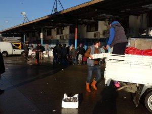 Trabzon Toptancı Balık Hali’ne Gelen Balık Miktarındaki Düşüş Devam Ediyor