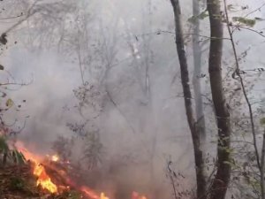 Giresun’da 4 Günde 63 Kırsal Yangın Meydana Geldi
