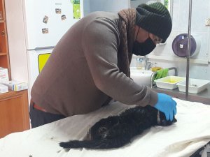 Çorum’daki Kahreden Görüntüyle İlgili Açıklama