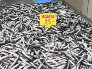 Hamsi Yasağına ’Buzhane’ Çözümü