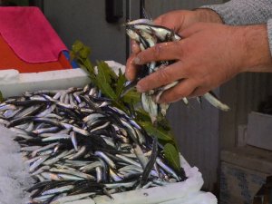 Yasak Öncesi Son Hamsiler Tezgahlarda