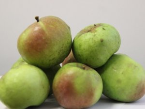 Yomra Elması Tescillendi