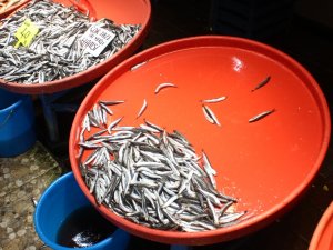 Hamsi Yasağı Gelince Vatandaşlar Balık Haline Akın Etti