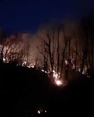 Rize’de 2 Ayrı Bölgede Orman Yangını