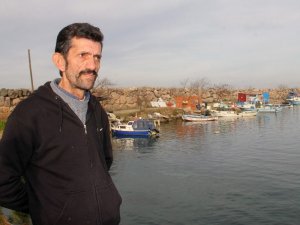 Hamsinin Geleceği Tehlikede