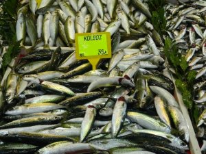 Çanakkale’de Hamsi Fiyatları 45 Lira Oldu