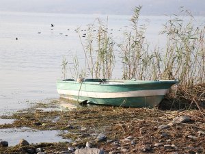 Sapanca Gölü Can Çekişiyor