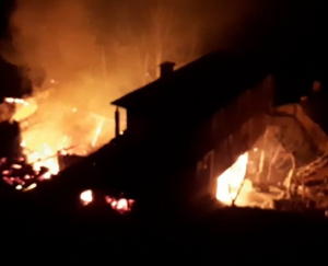 Araklı'da yangın 10 ev alev aldı