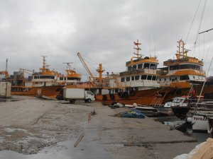 Sinoplu Balıkçılar Hamsi Ağından İstavrit Ağına Geçiyor