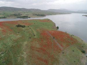 Baraj Ortasındaki Yarım Ada, Sahibi Tarafından Satılığa Çıkarıldı