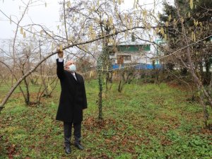 Fiskobirlik’ten Fındık Üreticilerine Sigorta Uyarısı