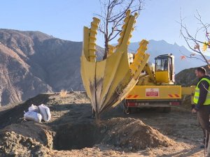 Türkiye’nin En Fazla Ağaç Taşıma İşlemi Yusufeli Yeni Yerleşim Yerinde Gerçekleşti