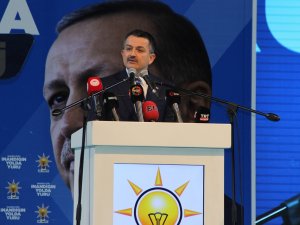 Bakan Pakdemirli: “Ak Parti İle Mhp’nin İttifakı; Seçim Değil, Hizmet İttifakıdır”