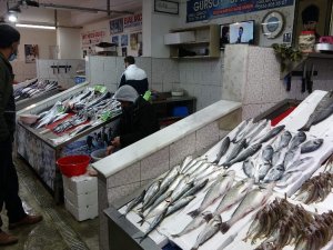 Hamsi Olmayınca Sezonu Erken Kapattılar