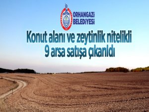 Orhangazi'de konut alanı ve zeytinlik nitelikli 9 adet taşınmazı ihale usulü ile satışa çıkardı