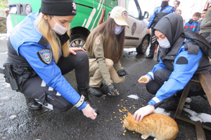Rize'de Polis Ekipleri Kar Nedeniyle Yiyecek Bulamayan Sokak Hayvanlarını Unutmadı