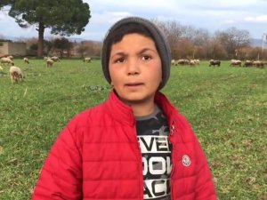 12 Yaşındaki Fenomen Çobanı Milyonlar Takip Ediyor