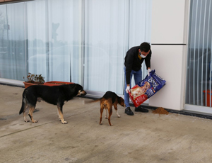 Rize Belediyesi Sokak Hayvanlarına Yiyecek Bıraktı