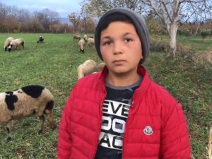 Küçük Çoban Videolarındaki Diyalogları İle Sosyal Medyanın Yeni Fenomeni Oldu