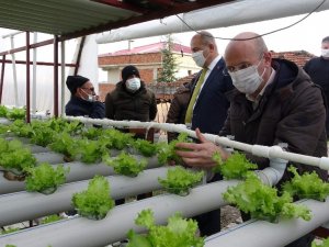 Doğu Karadeniz’de Topraksız Tarım Dönemi