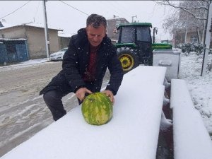 Kar Yağarken Karpuz Kestiler