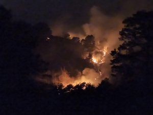 Trabzon’un Of İlçesinde Örtü Yangınları