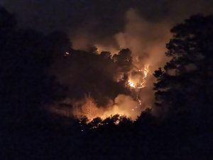 Trabzon’un Of İlçesinde Örtü Yangınları