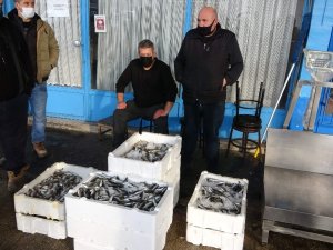 Balıkçılar Gelecek Yıl Karadeniz’de Hamsi Bolluğu Bekliyor