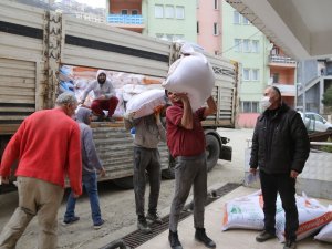 Artvinli Boğacılara Yem Desteği