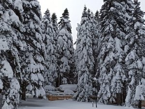 Uludağ’da Kar Kalınlığı 75 Santimetreye Ulaştı