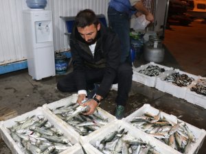 Zonguldak’ta Balıkçılar Limana 2 Bin Kasa Balıkla Döndü