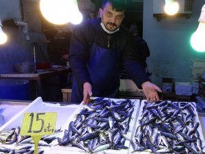Balıkçılar İstavrit İle Teselli Buldu