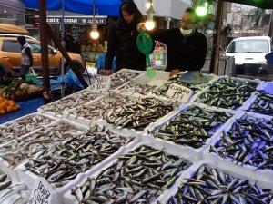 Balıkçılar İstavrit İle Teselli Buldu