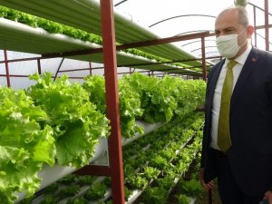 Pandemi Döneminde Köylere Yoğun Bir Şekilde Dönüşün Olması Tarıma Hareketlilik Getirdi