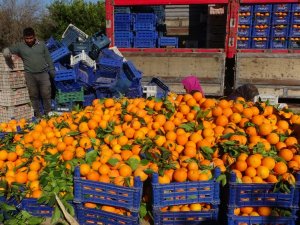Çiftçi Üretiyor Aracı Kazanıyor