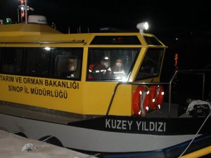 Hamsi Avcılığı Kısıtlaması Sona Erdi, Ekipler Denetimlere Başladı