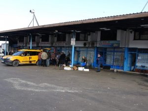 Hamsi Avı Yasağı Bitti Ama Balıkçılar Hamsinin Yolunu Gözlüyor