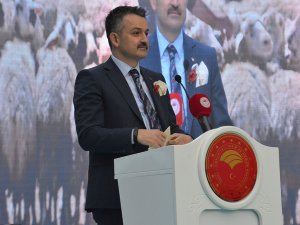 Bakan Pakdemirli: "Küçükbaş Yetiştiricilerine Bu Yıl 1 Milyarın Üzerinde Destek Vereceğiz"